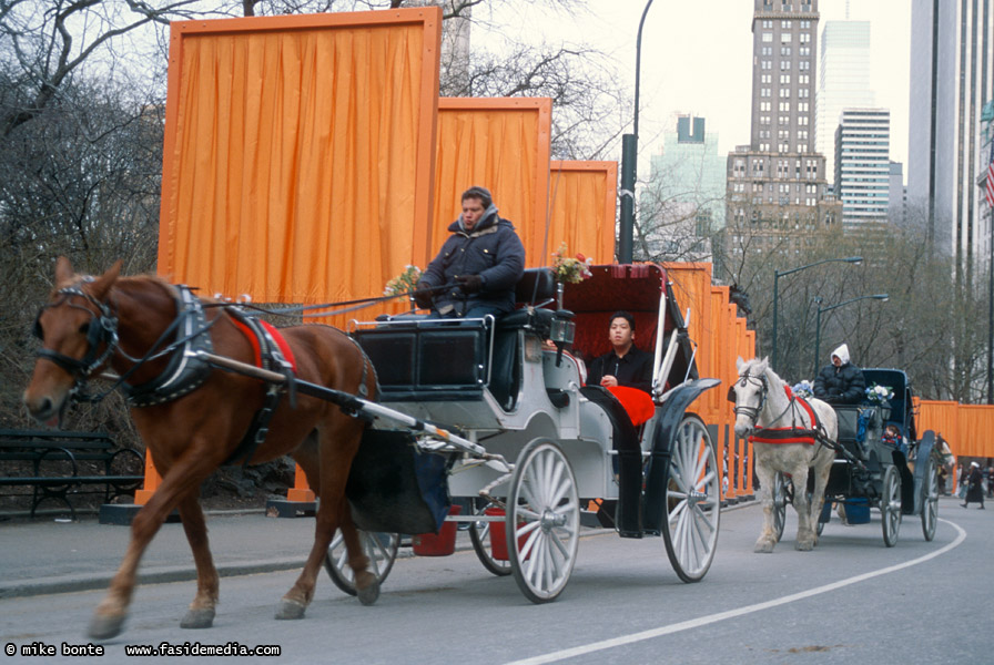 Central Park Gates