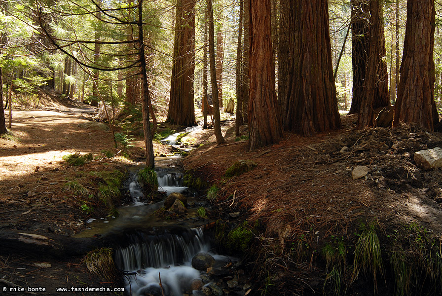 Babbling Brook