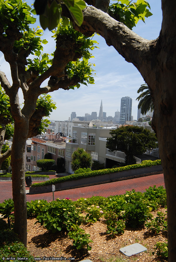 Lombard Street Greenery