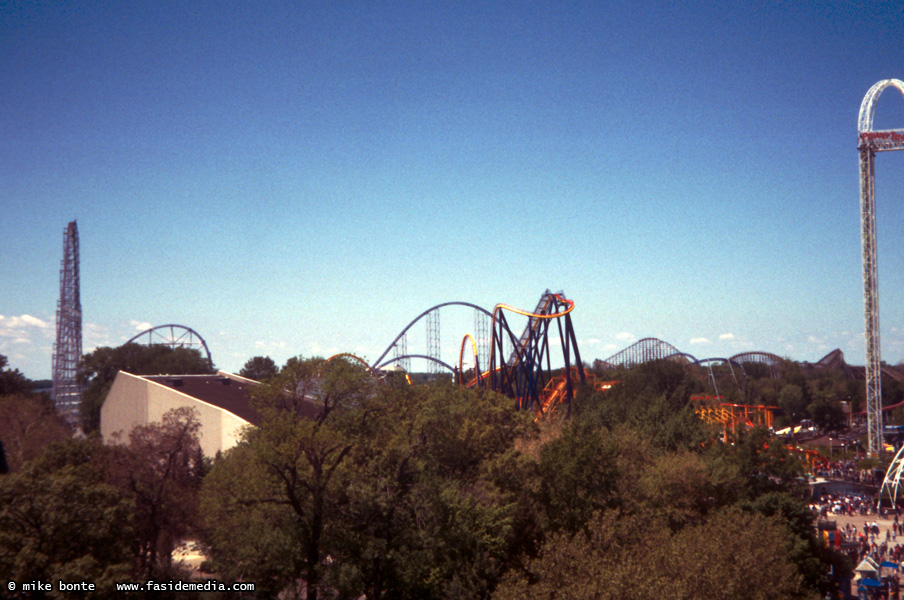 View Of The Park