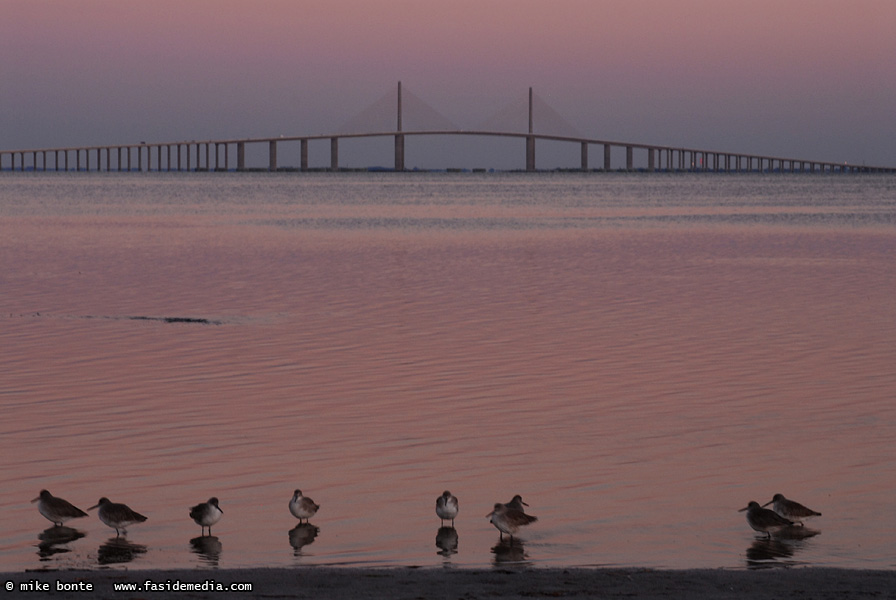 Sunshine Skyway Sunset