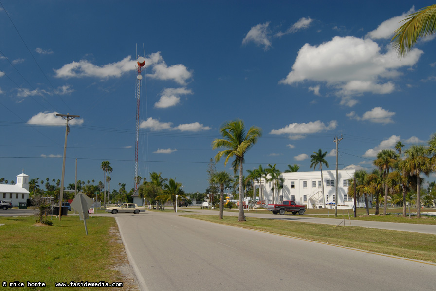 Town Hall And Traffic Circle