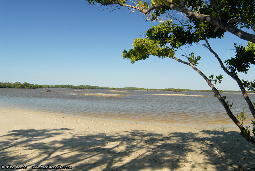 A Beach With A View