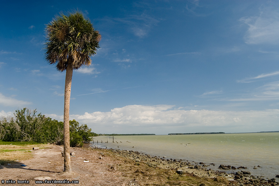 Flamingo, FL