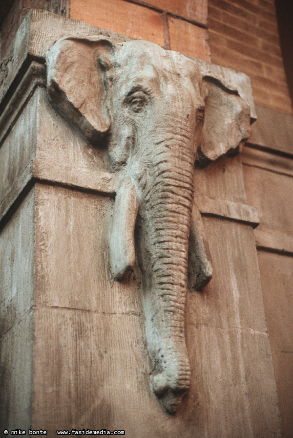 Elephant House Relief