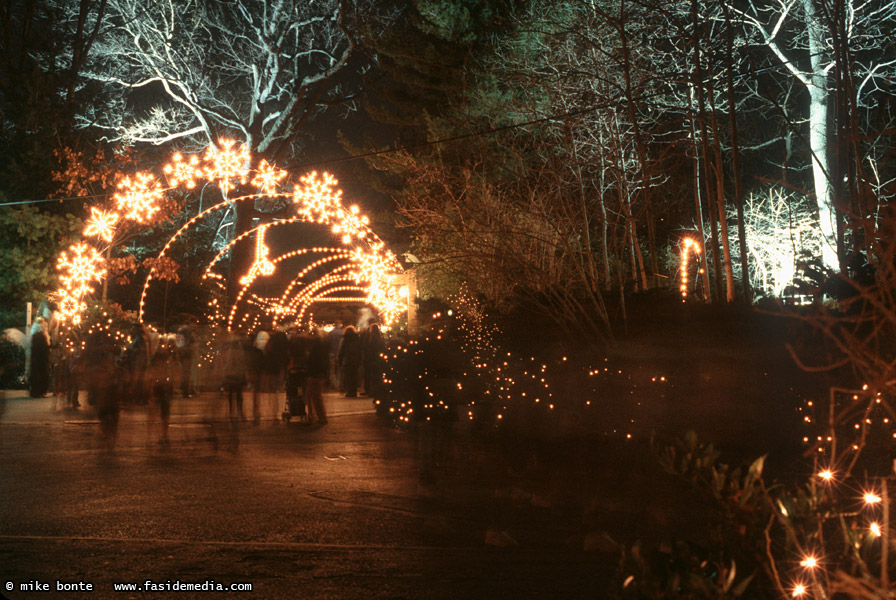 Bronx Zoo Lights