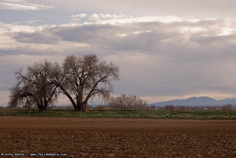 Evening On The High Plains