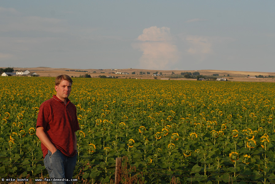 Life Is A Field Of Sunflowers