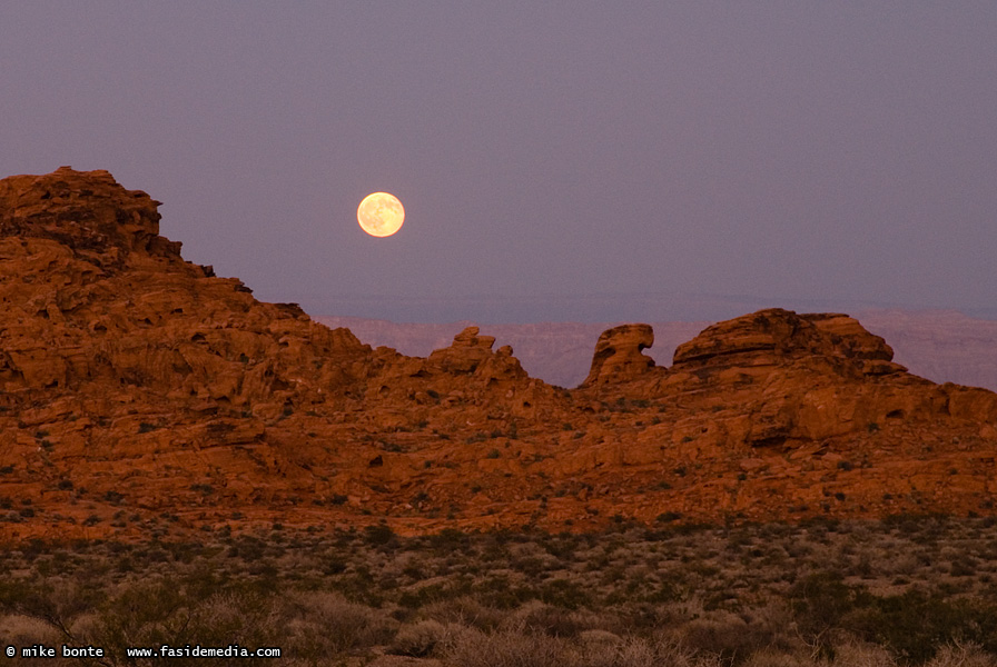 The Old Crazy Moon