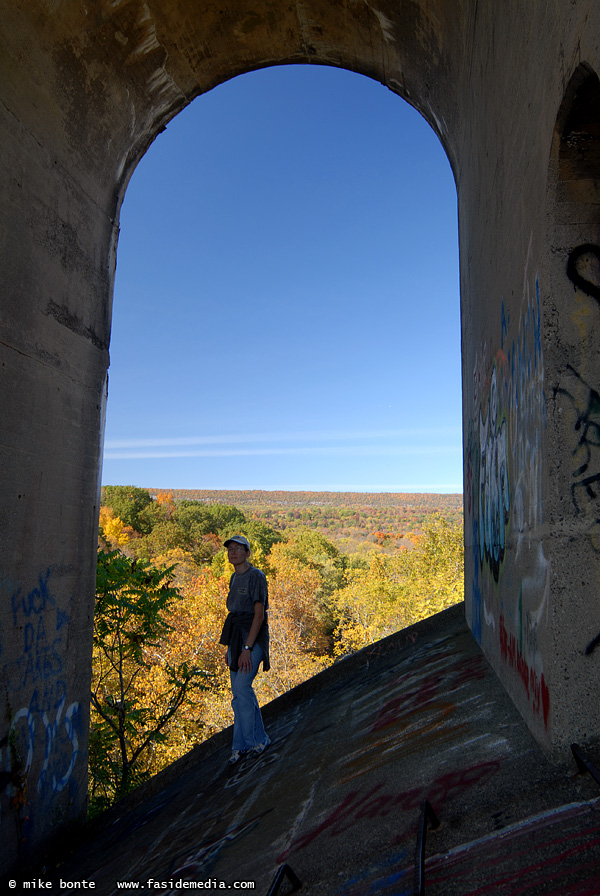 Graceful Arches