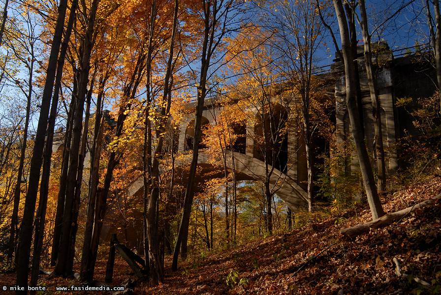 Autumn At The Viaduct