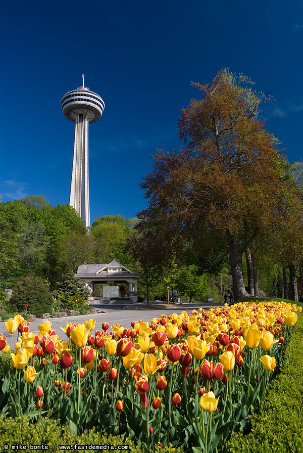 Skylon Tower With Tulips