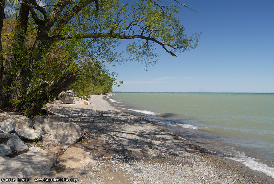 Lake Ontario Shore