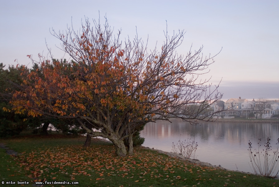 Remains of Fall