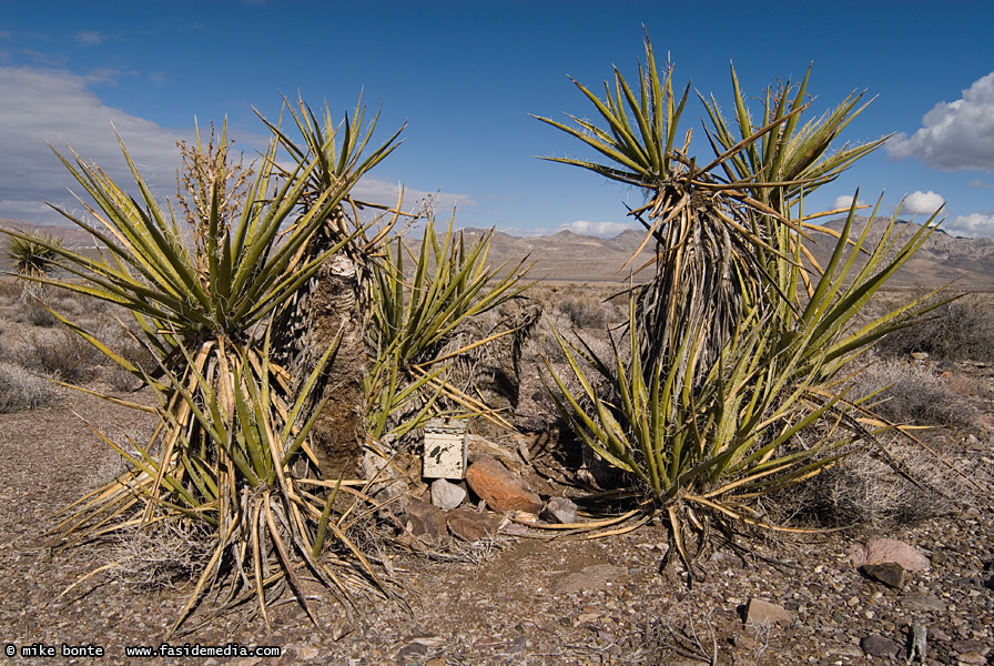 Geocaching In The Desert