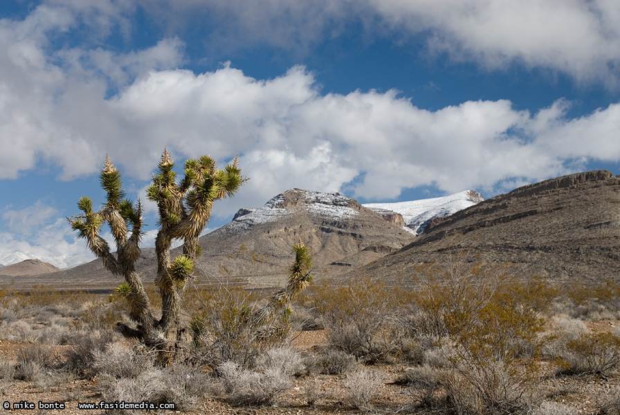 Snow Capped Desert