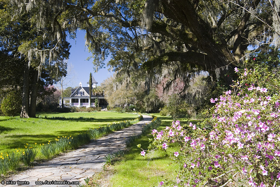 Magnolia Plantation