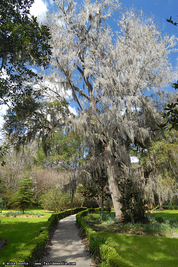 The Garden Path