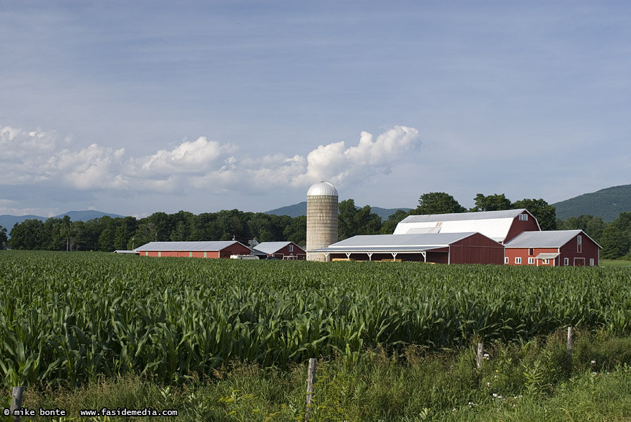 Rutland Farm