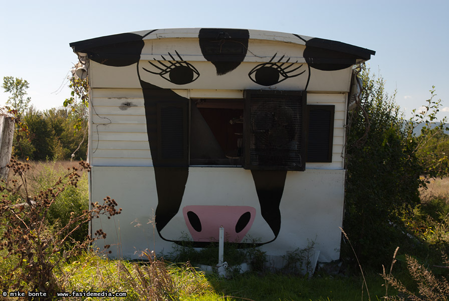 The Cow Trailer