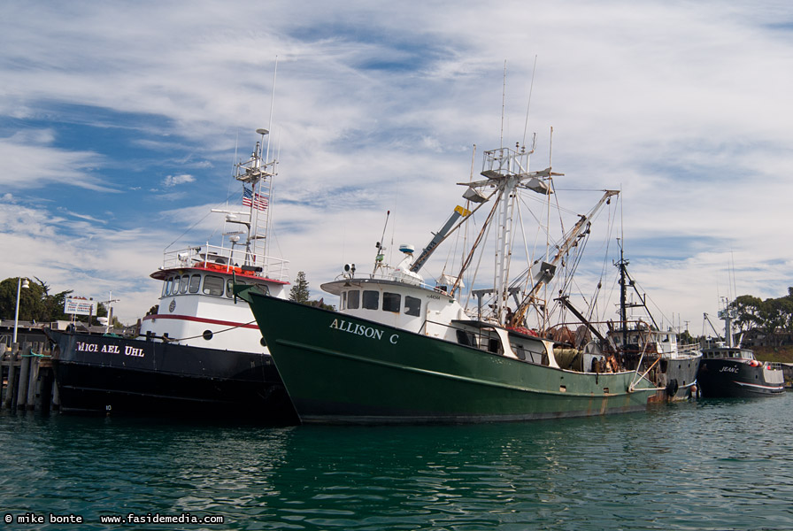 Fishing Boats