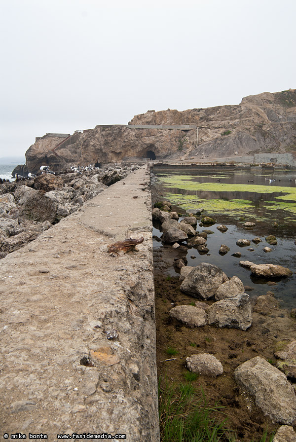 Sutro Bath Ruins