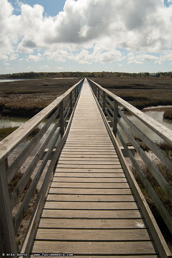 Boardwalk At Grays Beach