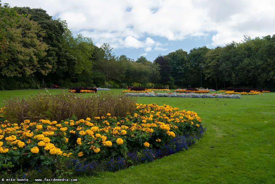 Merriam Square