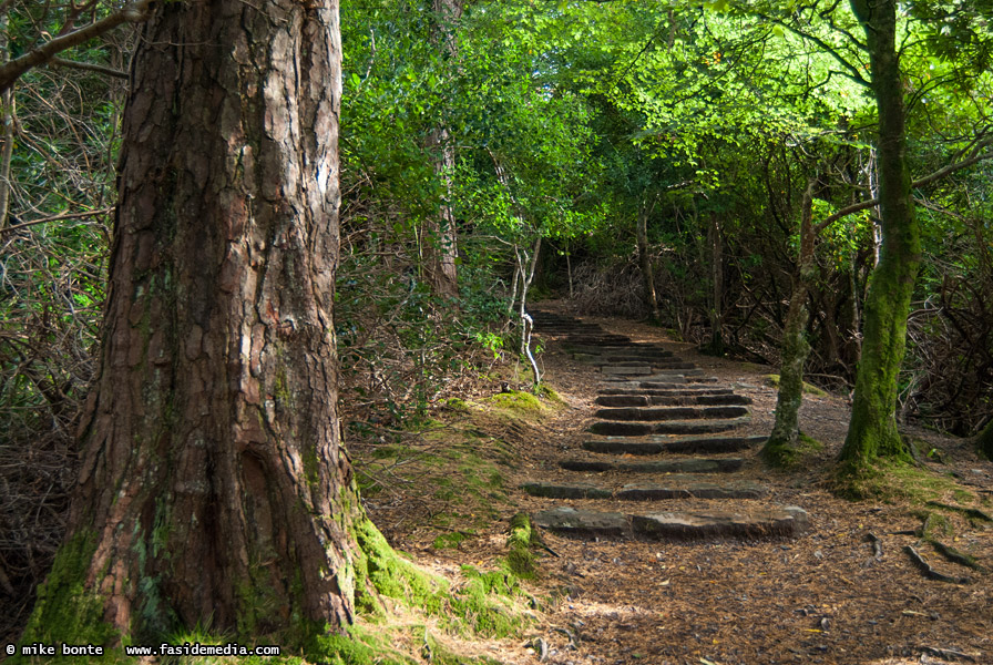 Stairs To Torc Waterfall