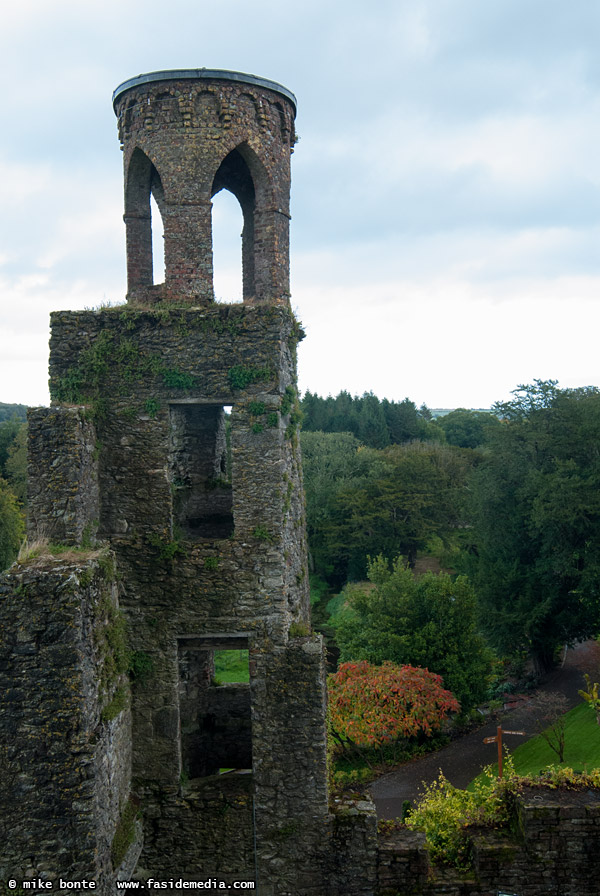 View From Blarney Castle