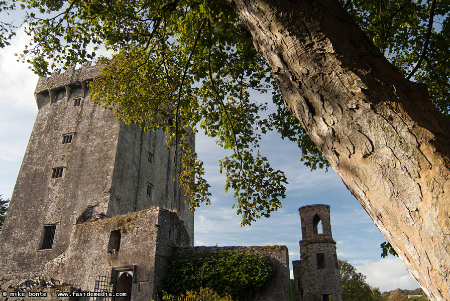 Blarney Castle