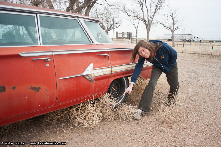 Maureen's First Tumbleweed!