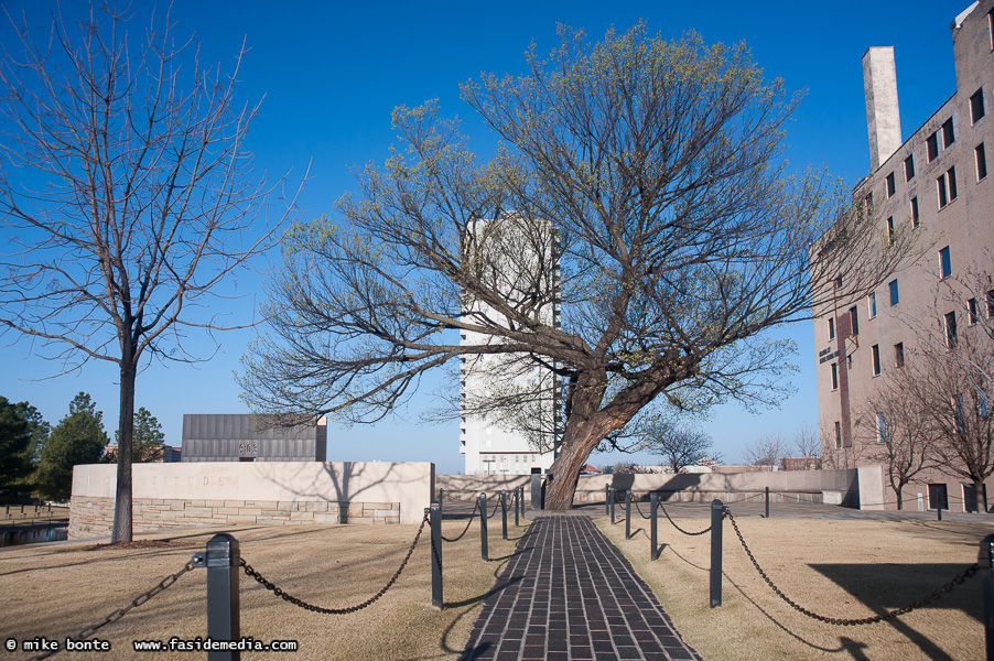 OKC Memorial Survivor Tree