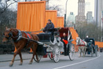 Central Park Gates