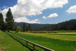 Wawona Meadow