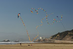 Kite Flying At Pacific Beach