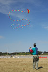 High Flying Kites