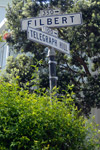 Telegraph Hill