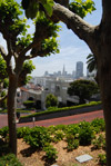 Lombard Street Greenery