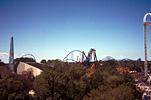 View Of The Park