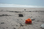 Beach Toys