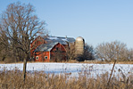 Potato Farm