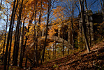 Autumn At The Viaduct