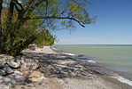 Lake Ontario Shore