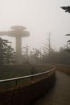 Mike At Clingman's Dome