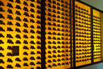 Wall of Dire Wolf Skulls