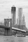 Brooklyn Bridge and Freedom Tower