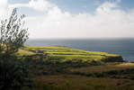 Iveragh Peninsula Farms