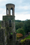 View From Blarney Castle