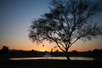 Golf Course Sunset